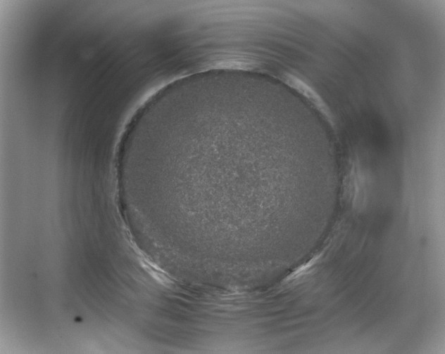 X0000070411027200606121324