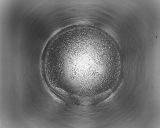 X0000070411029200606121324