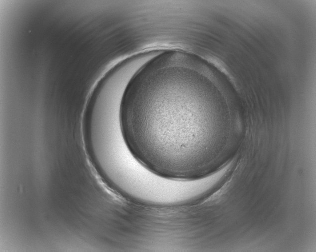 X0000070411030200606121324