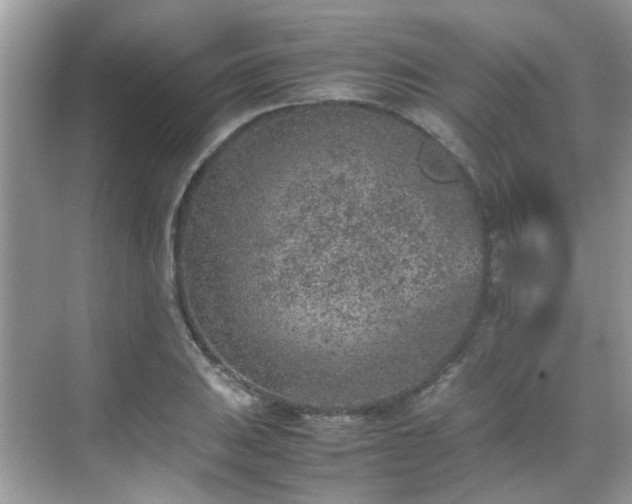 X0000070411031200606121324