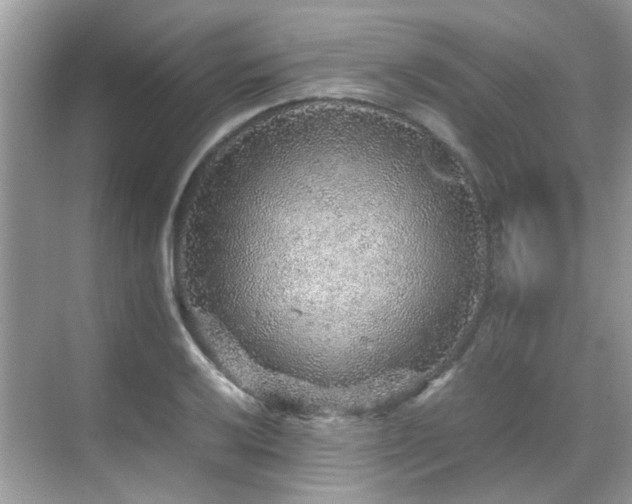 X0000070411032200606121324