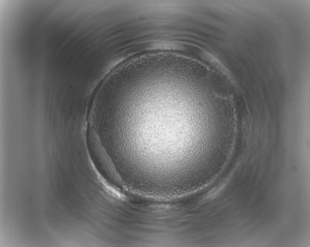 X0000070411033200606121324