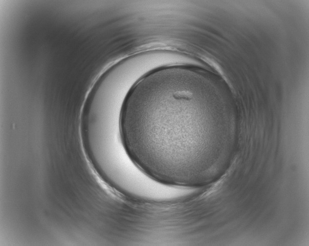 X0000070411034200606121324