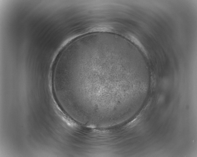 X0000070411035200606121324