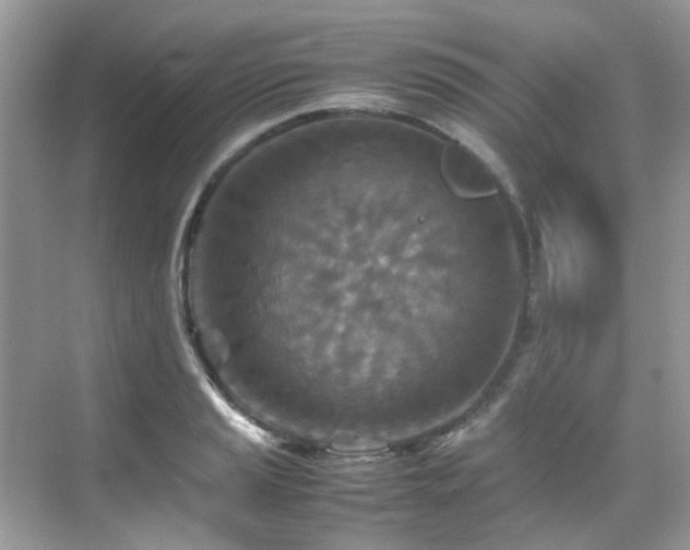 X0000070411037200606121324