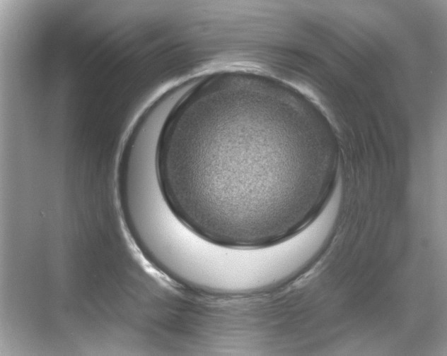 X0000070411038200606121324