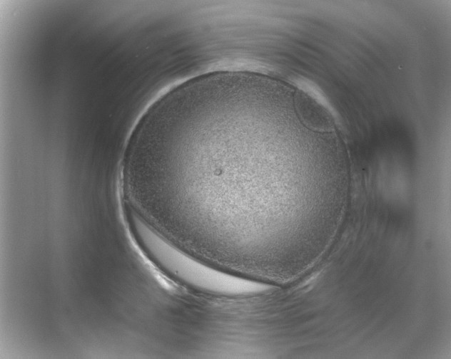 X0000070411040200606121324