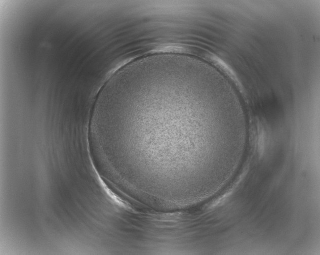 X0000070411041200606121324