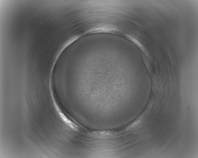 X0000070411042200606121324