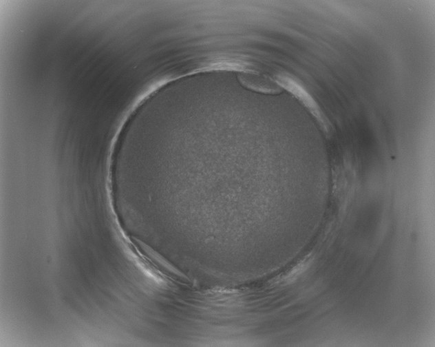 X0000070411043200606121324