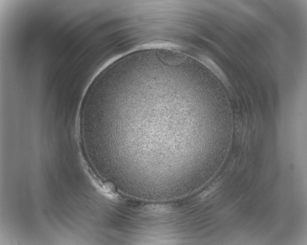 X0000070411044200606121324