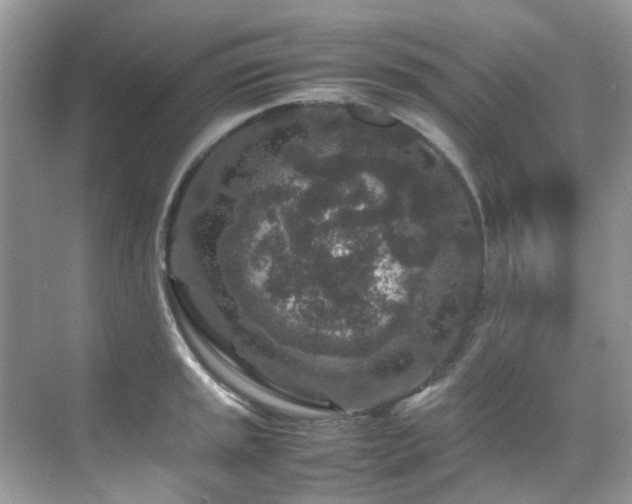 X0000070411045200606121325