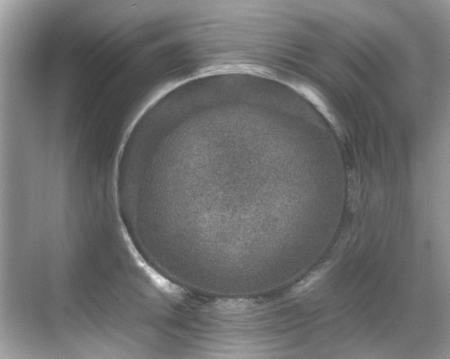 X0000070411046200606121325