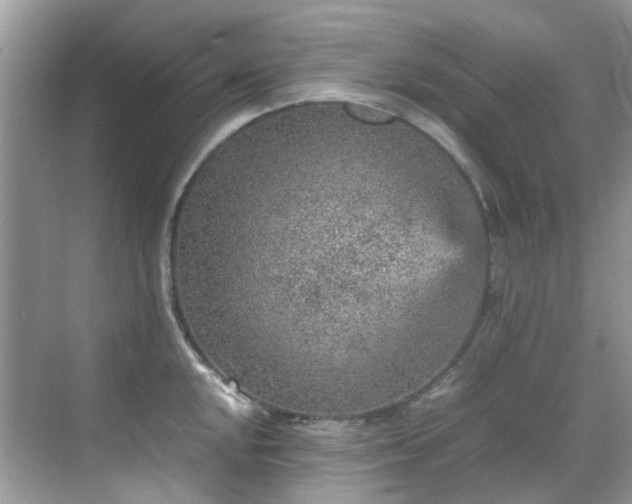 X0000070411048200606121325