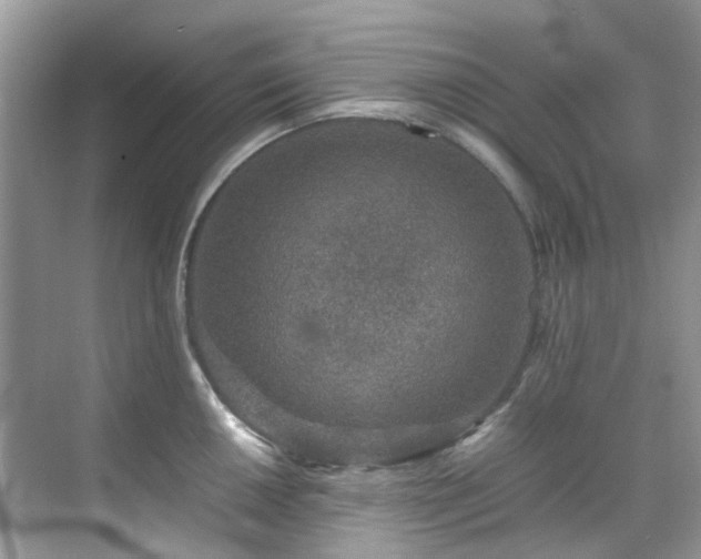 X0000070411050200606121325