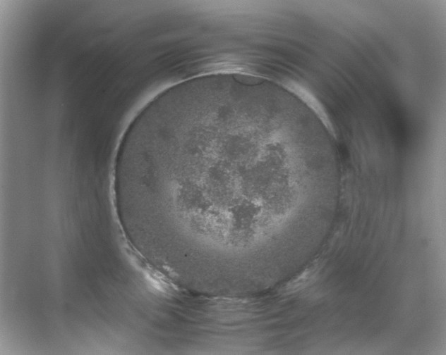 X0000070411051200606121325