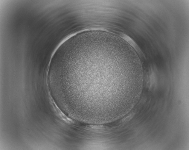 X0000070411052200606121325