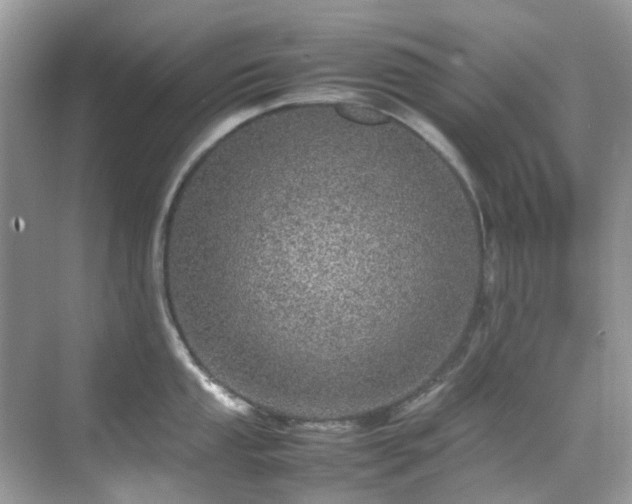 X0000070411053200606121325