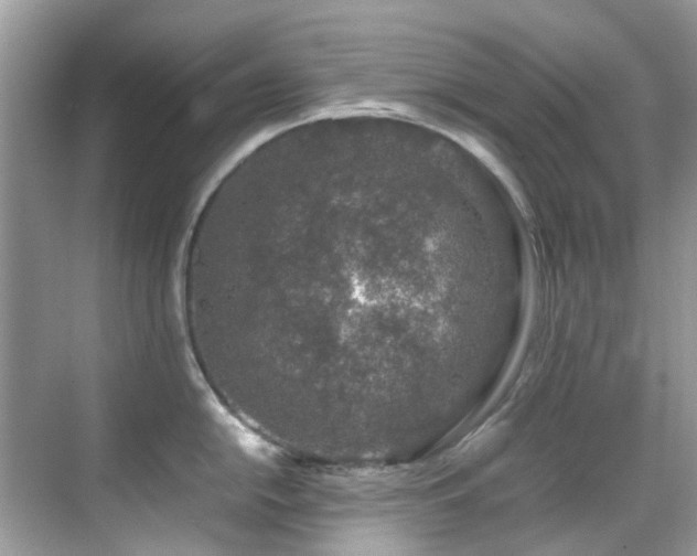 X0000070411054200606121325