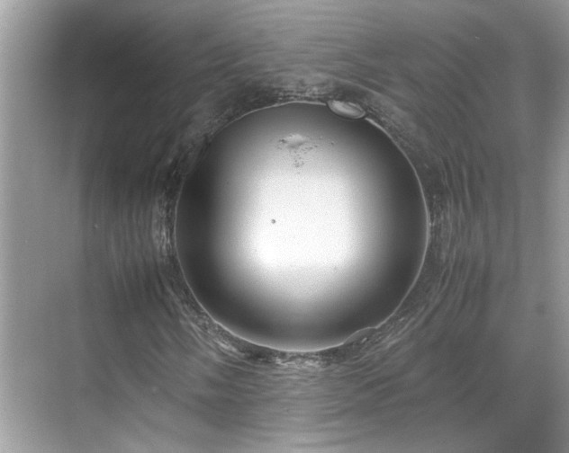 X0000070411058200606121324