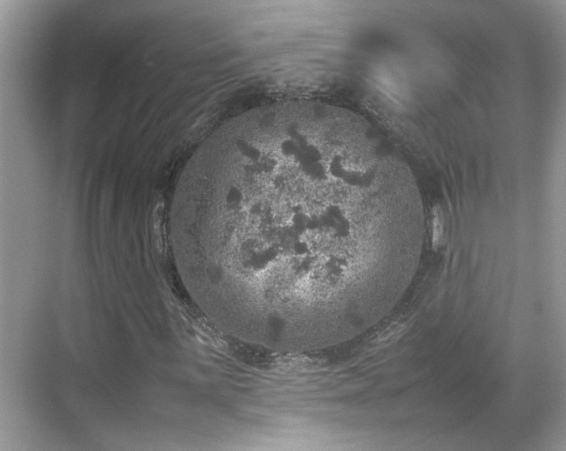 X0000070411059200606121324