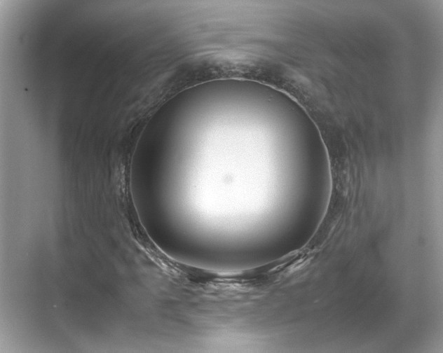 X0000070411061200606121324