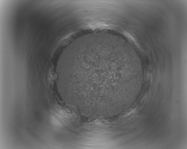 X0000070411063200606121324