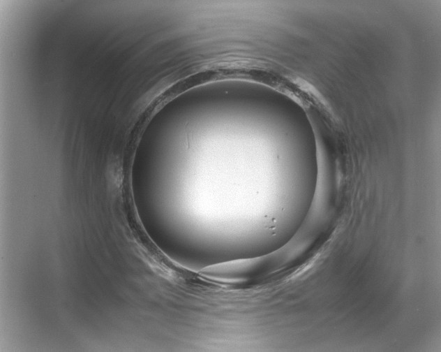 X0000070411065200606121324