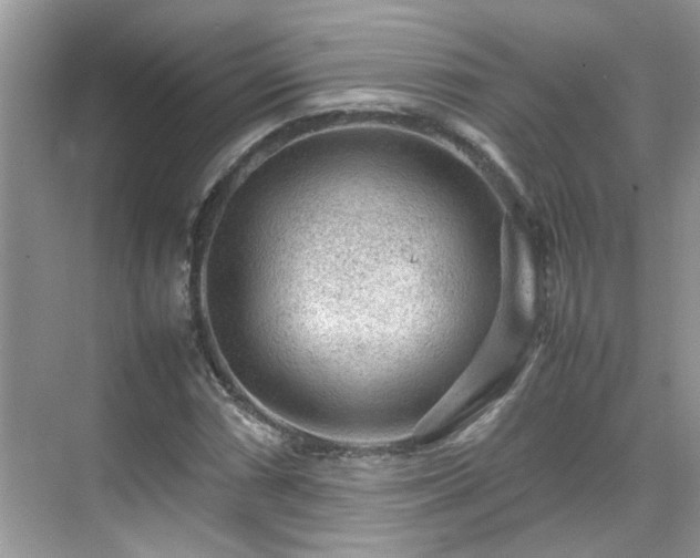 X0000070411066200606121324