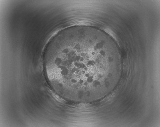 X0000070411067200606121324