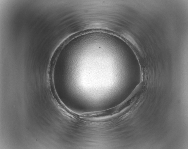 X0000070411068200606121324