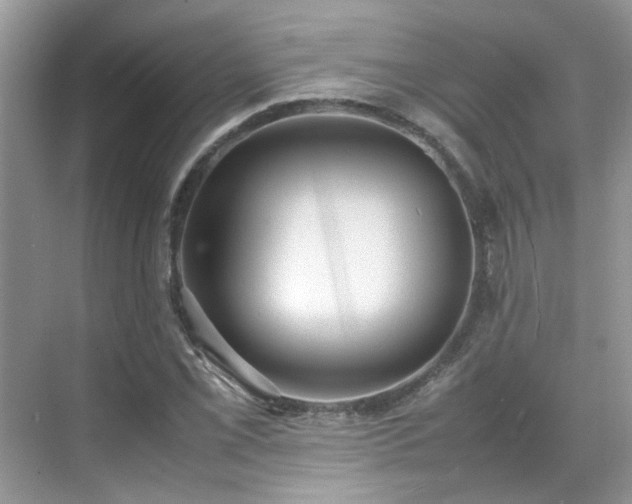 X0000070411069200606121324