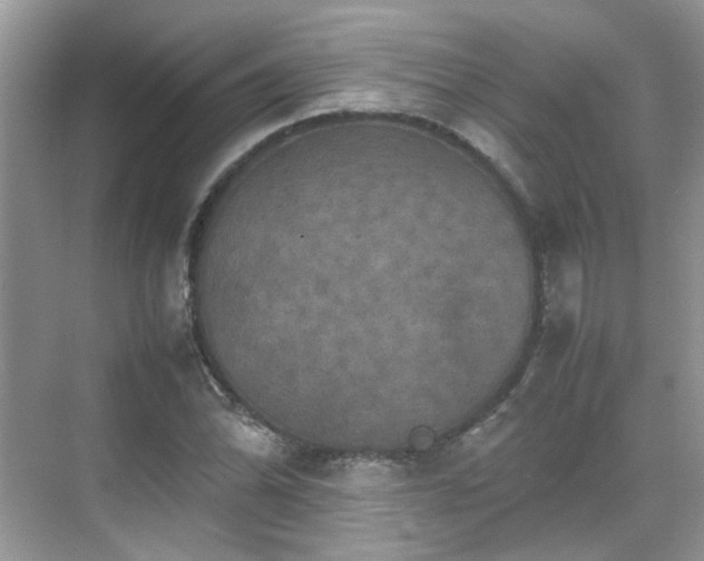 X0000070411070200606121324