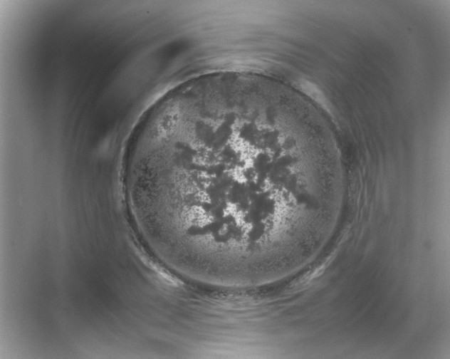 X0000070411071200606121324