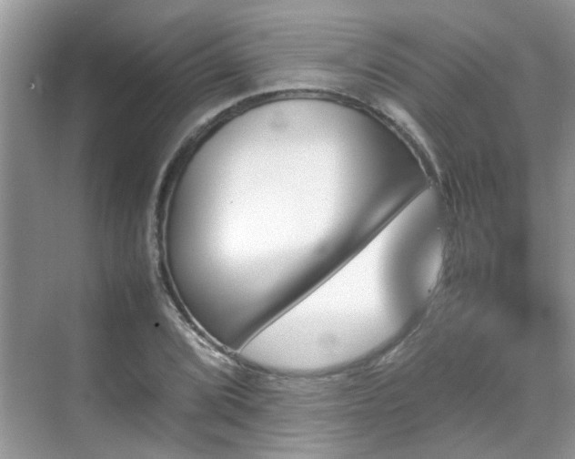 X0000070411072200606121324