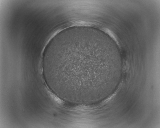 X0000070411075200606121324