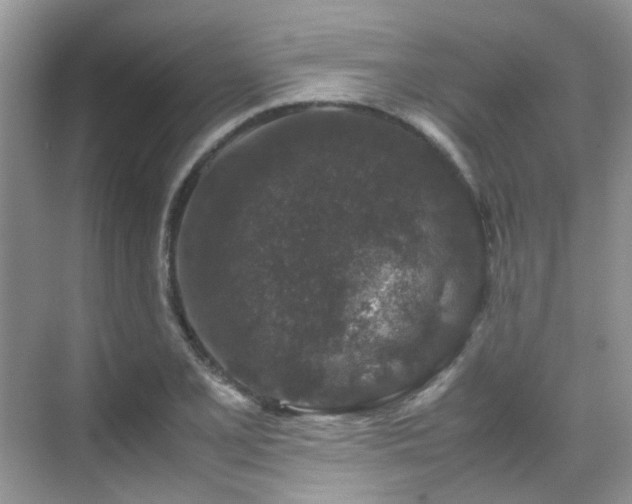 X0000070411077200606121324