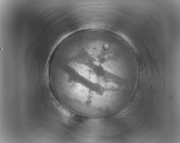 X0000070411078200606121324