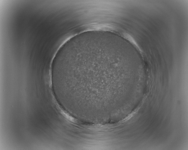 X0000070411079200606121324