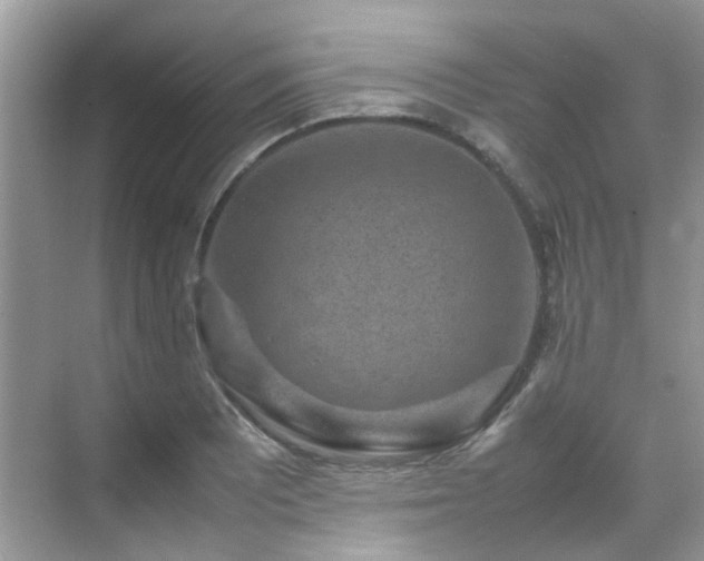 X0000070411081200606121323