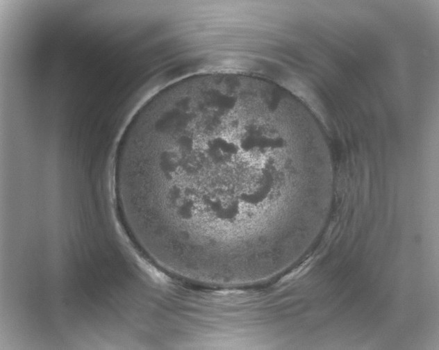 X0000070411083200606121323