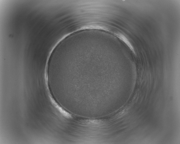 X0000070411084200606121323