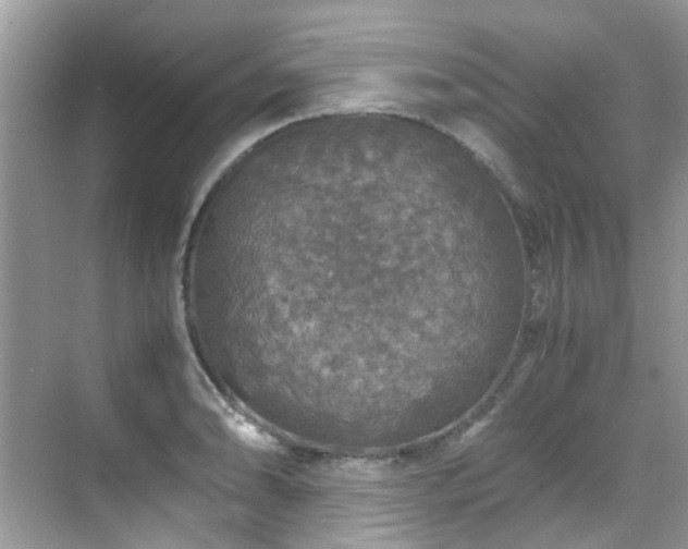 X0000070411086200606121323