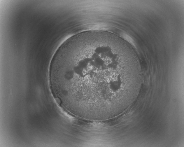 X0000070411087200606121323