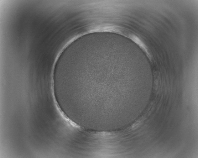 X0000070411088200606121323