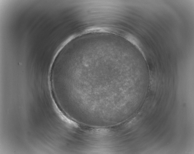 X0000070411090200606121323