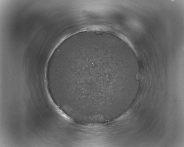 X0000070411091200606121323