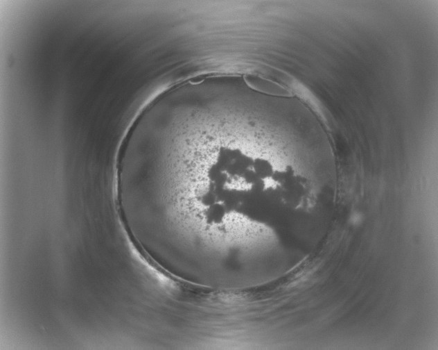 X0000070411095200606121323