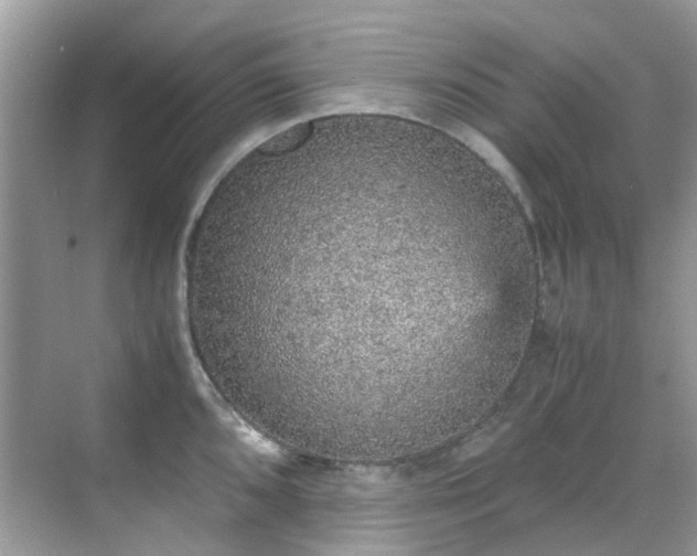 X0000070411096200606121323