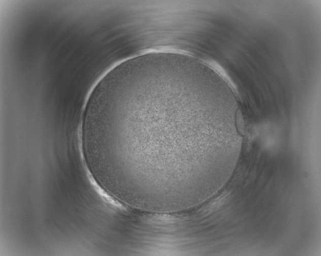 X0000070411100200606121323